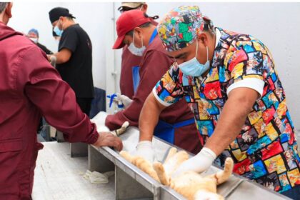 Puebla aplica 120 mil vacunas y 18 mil esterilizaciones animales