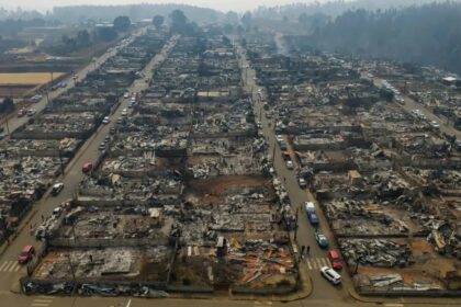 Incendios forestales arrasan más de mil hectáreas en Chile