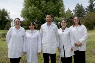 BUAP crea nanotecnología para proteger bosques de plagas