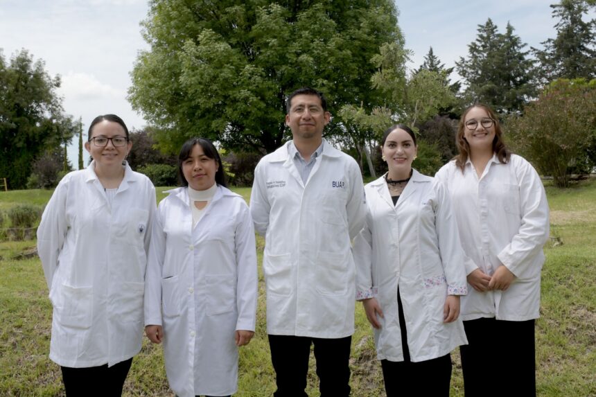 BUAP crea nanotecnología para proteger bosques de plagas