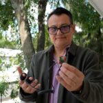 BUAP desarrolla glucómetro no invasivo para diabetes tipo 2