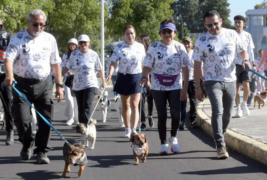 CAETO BUAP cumple 4 años y supera 9,500 terapias con perros
